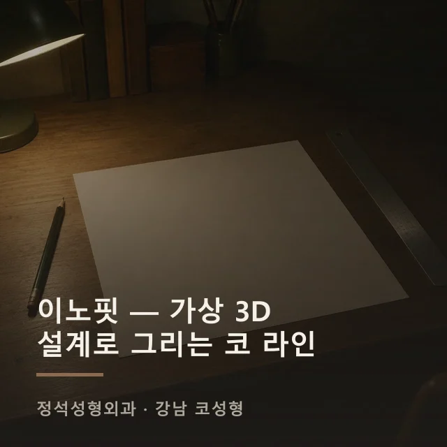 이노핏 — 가상 3D 설계로 그리는 코 라인